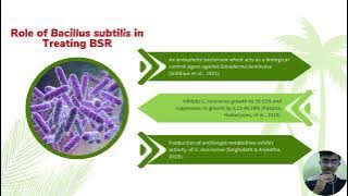 NanoSub Palm Protect