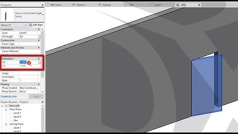 DxD 101 Revit Door w Controlled Angle WM