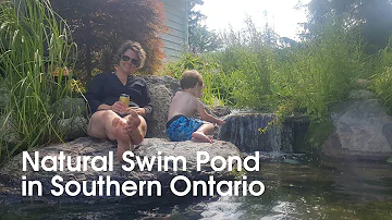 Quiet Nature - Natural Swimming Pond in Southern Ontario