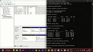 Menghapus Partisi Healthy (Recovery Partition/EFI System Partition)