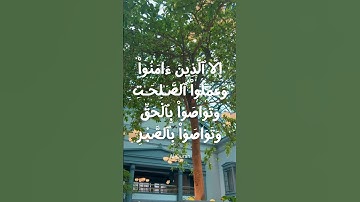 Surah Al-Asr (The Declining Day) | Mishary Rashid Alafasy | مشاري بن راشد العفاسي سورة العصر