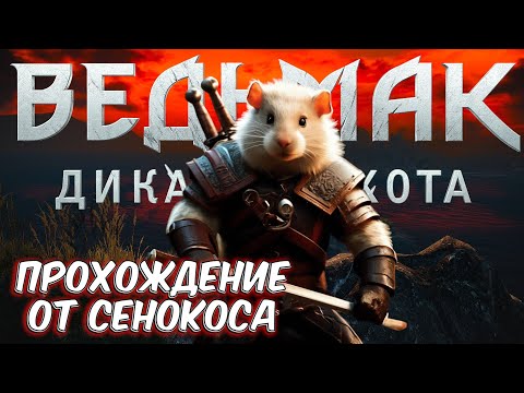 Видео: Ведьмак 3:Подробное прохождение (24)