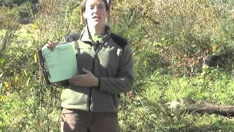 Forest Monitoring 4 - Recording Plot Location