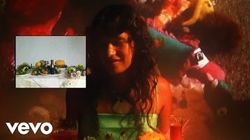 Couch Prints - Waterfall (Official Music Video)