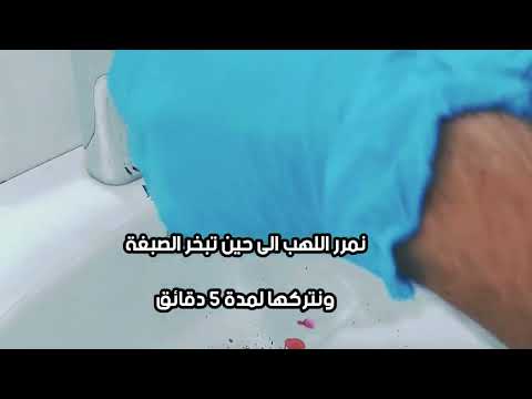 فيديو: هل Bacillus subtilis حامض سريع؟