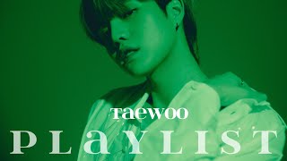 [𝐏𝐥𝐚𝐲𝐥𝐢𝐬𝐭] 청춘을 노래하는 태우 노래 모음 | TAEWOO Songs