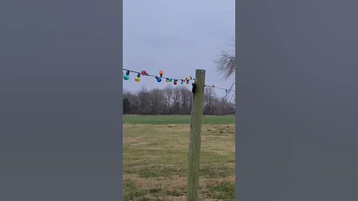 Christmas light antenna? #hamradio #hamharder