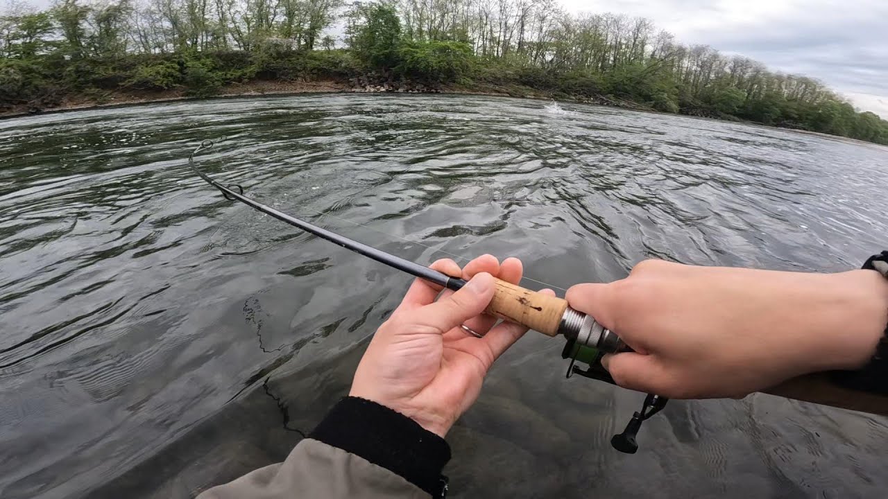 【岩手県 サクラマス】内陸河川での激闘(スレ)!