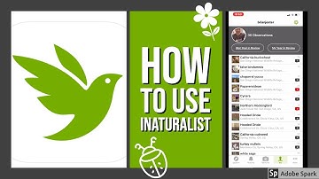 How to Use iNaturalist
