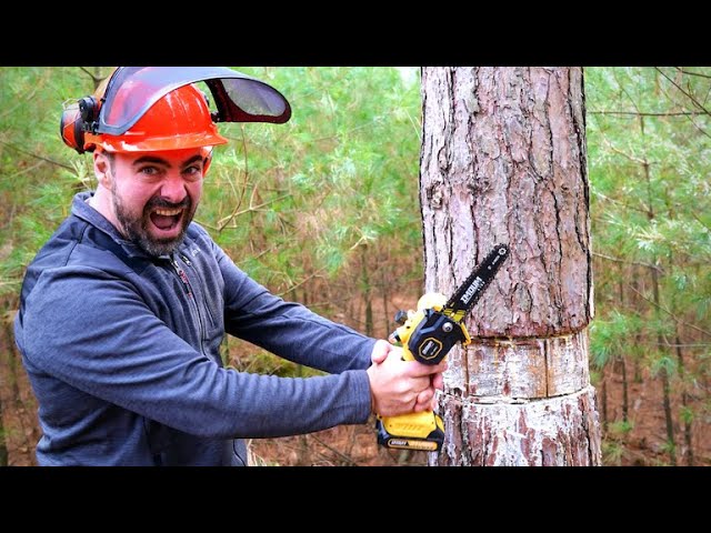 Avhrit 8 inch mini chainsaw for woodwork, pruning : : Garden