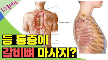 능형근 스트레칭 하지 마세요! 날개뼈 사이 등 통증! 승모근 뭉치는 이유! 전거근 마사지, 운동