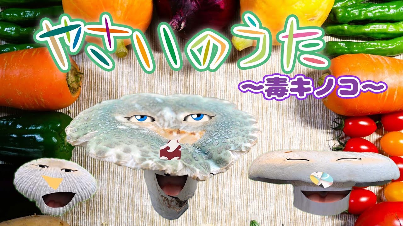 Midwinter ミッドウィンター　Toadstools 毒キノコ　トリオ ミッドウィンター 毒キノコ トードストゥール ティートリオ MIDWINTER