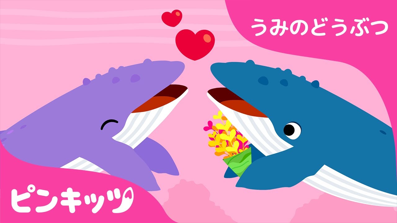 くじら うみのどうぶつ どうぶつのうた ピンキッツ童謡 Youtube