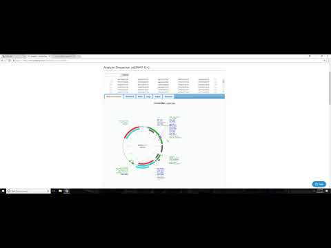 Vídeo: A Modificação De SUMO3 Por PIAS1 Modula A Distribuição E Estabilidade Celular Dos Receptores De Andrógenos