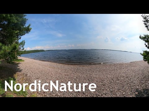 Unique pebble beach 360, Lake Saimaa, Finland (a small fish lands on shore midway through)