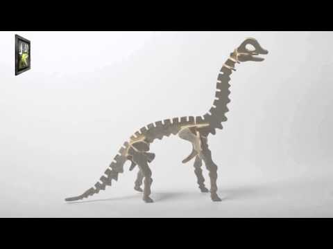 Diplodocus Jurassic 4D