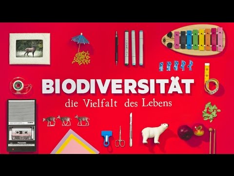 Video: Was sind die Vorteile von Vielfalt im Gesundheits- und Sozialwesen?