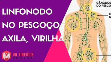 O que são os nódulos linfáticos?