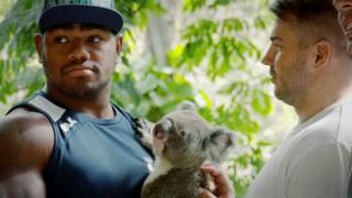 The Toulon Rugby Team go to Currumbin Wildlife Sanctuary