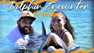 Experience the Magic of Dolphins in Roatan #dolphinencounter #roatan #anthonyskey