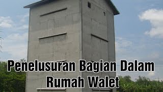 Penelusuran Bagian Dalam Rumah Walet - Ikuti Jejak Kami