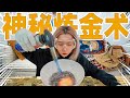 60个废旧芯片能炼出多少黄金？| CPU Alchemy