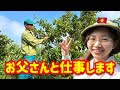 ベトナム人父と農園をやります！日本から帰った果物を収穫 【ベトナム生活】【国際結婚】