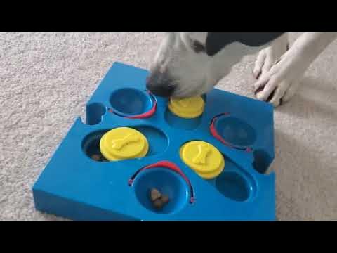 ETHICAL PET Seek-A-Treat Flip N Slide Puzzle Dog Toy 