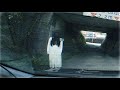 ホラー・サスペンス映画『ストリートを探偵してみた』都市伝説予告編(Horror&suspense film "Detecting on the Street" 1st trailer.)