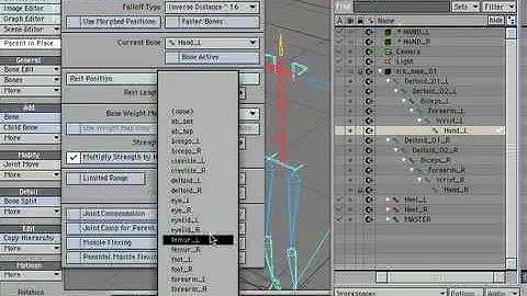 LIGHTWAVE RIGGING TUTORIAL - ZIG RIG 03.06 ARMS - WEIGHT MAPS