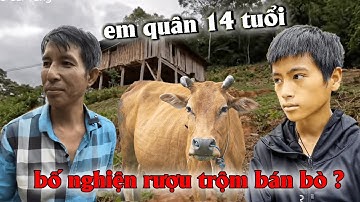TIN SỐC!  MẤT BÒ RỒI. LIỆU CÓ PHẢI NGƯỜI BỐ NGHIỆN RƯỢU BÁN BÒ ? Em QUÂN 14 TUỔI PHẢN ỨNG THẾ NÀO ?