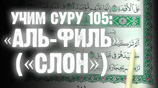 Учим Суру 105: «АЛЬ-ФИЛЬ» («СЛОН»)