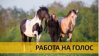 Гуля и Ханни. Работа на голос. Voice cues