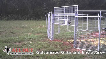 Hog trap with rigid panels video
