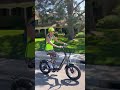 🚴♀️🤩Lectric XP 3.0 VS The Accolmile Dolphin eBike | Is the Lectric finally dethroned?🚴♀️🤩