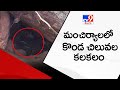 Pythons create panic among villagers in Mancherial