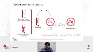 Enhance Transient Transfection with Biomek i-Series Automation