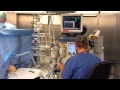 Amateur Transplant: Anesthetists Hymn - Lutz's Video Version