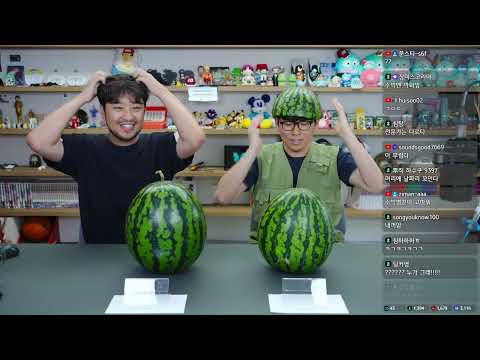 2026년 06월 25일 | 수박 전문가 왕수박과 함께 하는 수박의 모든 것, 종수와 롤 골드 듀오