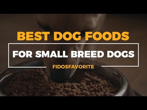 Video: Auto Ship Dog Food - Эмне үчүн буга аракет кылып көрбөйбүз?