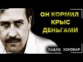 ОН КОРМИЛ КРЫС ДЕНЬГАМИ