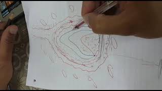 Oral Biology: Theories of Eruption