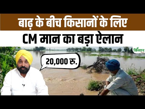 Punjab Flood: CM Bhagwant Mann का ऐलान, किसानों को 20 हजार रुपये प्रति एकड़ मुआवजा देगी सरकार