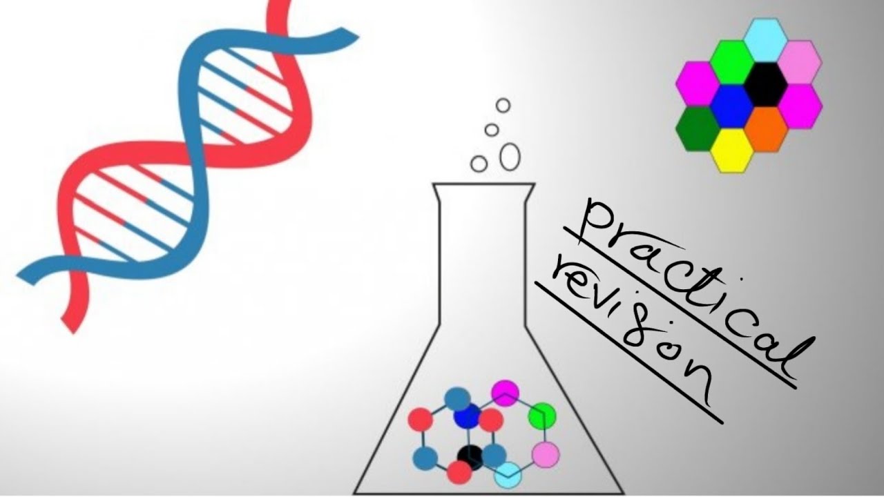 All Practical sections | general biochemistry
