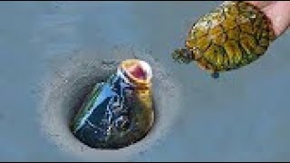 Unbelievable Fishing Techniques | Turtle Best Fishing Fishing | How to catch fish #013