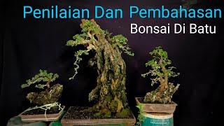 Penilaian Dan Pembahasan Bonsai Di Batu