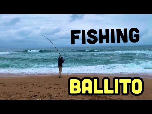 fish on lures ballito (1pc) Saltwater Fishing Ballyhoo Rig with Mylar Skirt. Dolphin Mahi Tuna Offshore Fishing Lure. 7/0 Hook, 150lb Mono, Blue Squid Skirt. Ocean Trolling Ballyhoo Rig Big Game Fishing Lure How to Fish With Lures