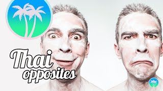 Learn 100 Thai Opposite Words for Daily Use | Thai Antonyms screenshot 4