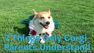 Download 7 Things Only Corgi Parents Understand Video MP3 7 Things Only Corgi Parents Understand
