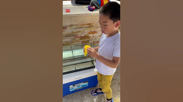 Sink or float? #sinkorfloat #science #density #buoyancy #experiment #sink #float